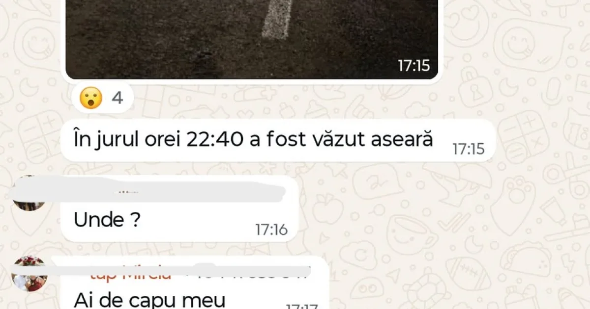Ursul a vizitat trei nopți la rând Slătinița. „Mi-a apărut în față, noroc că erau oameni!”