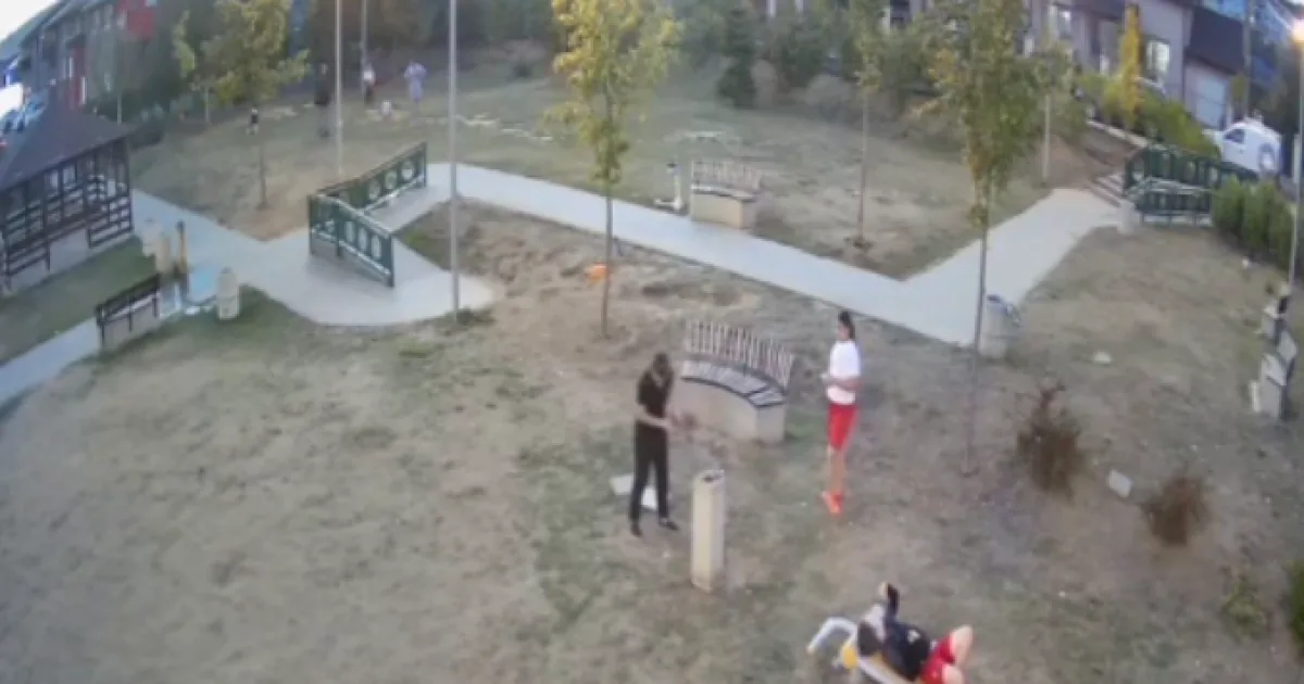 VIDEO: Au vandalizat mobilierul din părculețul din Subcetate